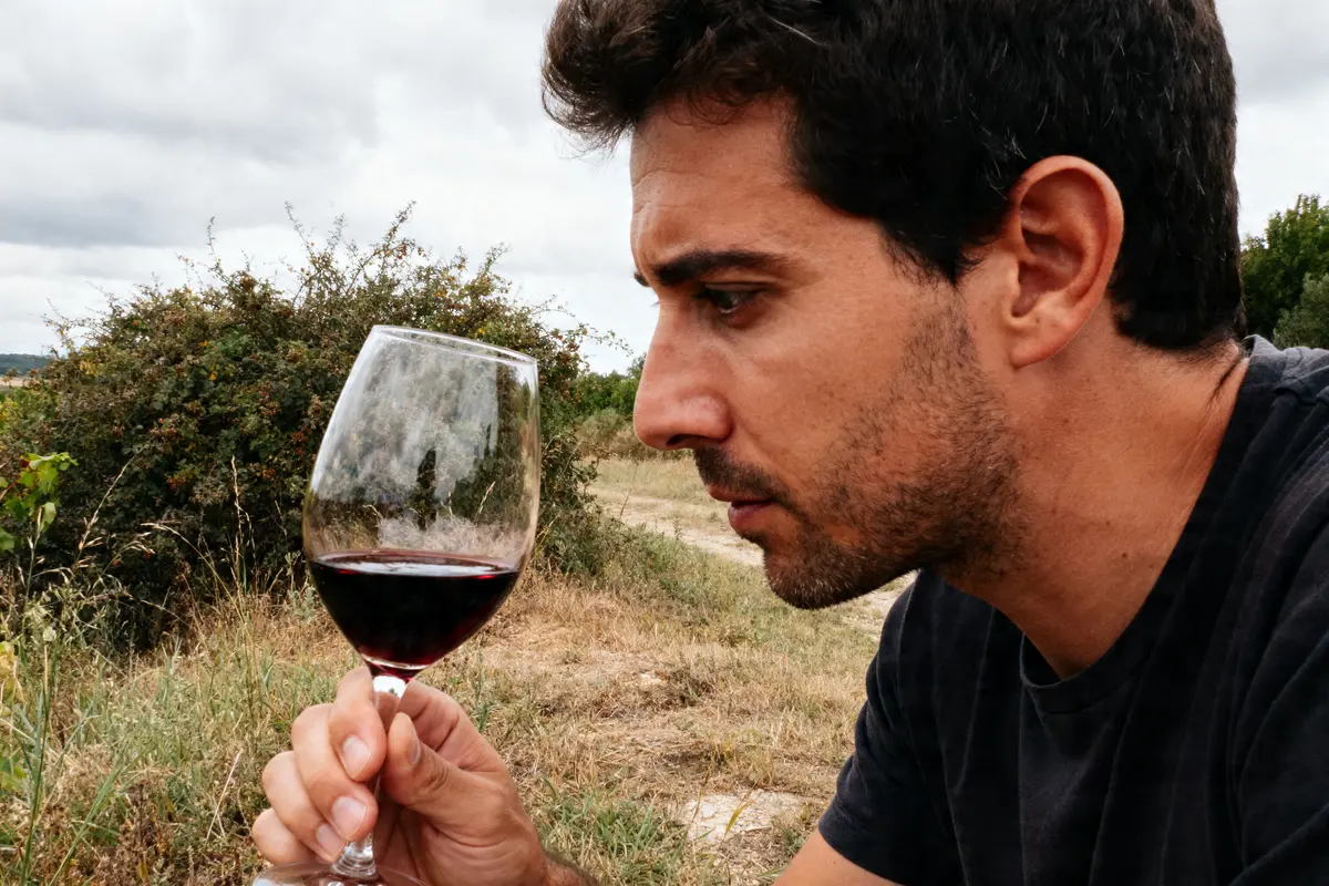 Évaluer la qualité d’un vin : 5 astuces pour bien déguster