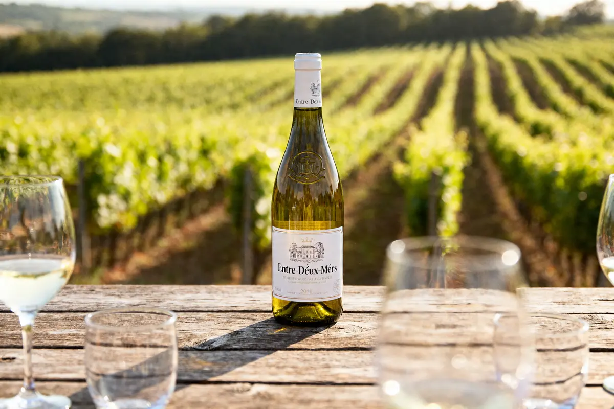 Bouteille de vin d'Entre-Deux-Mers sur table en bois devant vignoble ensoleillé
