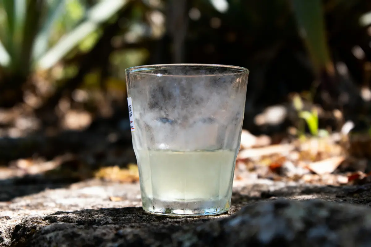 Verre d'eau posé sur sol extérieur, arrière-plan flou avec végétation verdoyante, éclairage naturel.